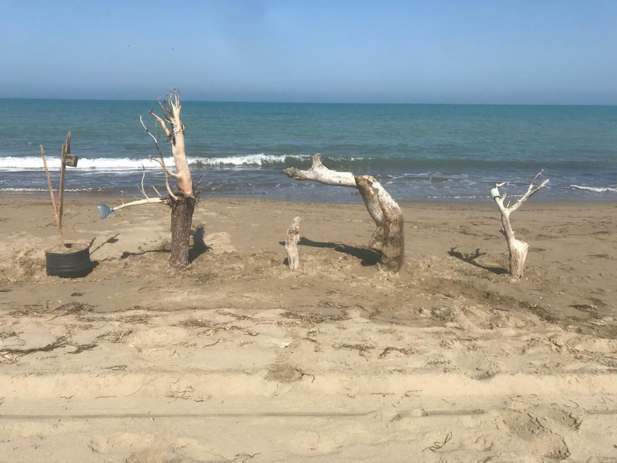 Palma Apartments Durres Bagian luar foto